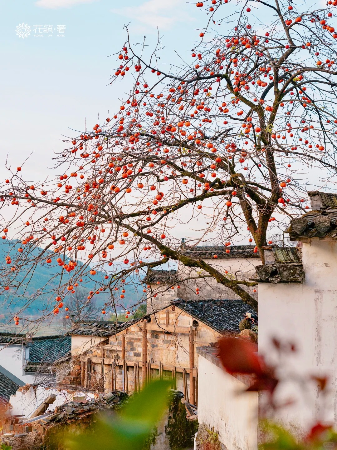 被《国家地理》评为皖南最美古村的秋天有绝_3_花筑奢_安徽徽州-来自52tours 我爱旅游网